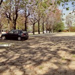Estacionamiento Complejo Olivos Estacionamiento Complejo Olivos