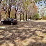 Estacionamiento Complejo Olivos Estacionamiento Complejo Olivos