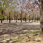 Estacionamiento Complejo Olivos Estacionamiento Complejo Olivos