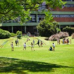 Parque del Complejo Olivos Parque del Complejo Olivos