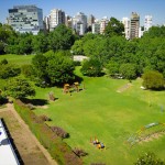 Parque del Complejo Olivos Parque del Complejo Olivos