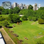 Parque del Complejo Olivos Parque del Complejo Olivos