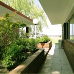 Quinchos Complejo Olivos Quinchos Complejo Olivos